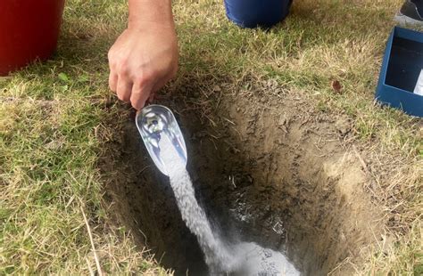 海葬風水|什麼是多元環保葬－植葬、海葬、花葬、灑葬｜楊子佛教禮